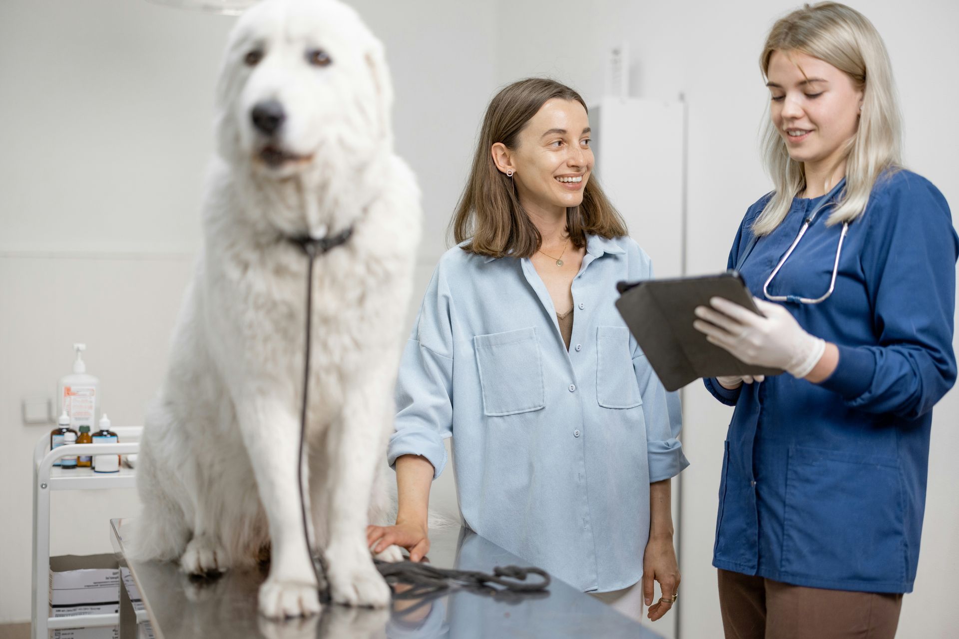 Psychology of Pet Parent Price Acceptance in Veterinary Care
