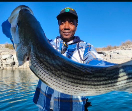 Willow Beach Striped Bass Fishing Charters Lake Mohave Fishing Guides