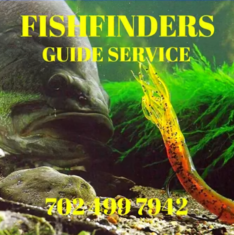FishFinders Guide Service Lake Mead Fishing Guides Las Vegas Nevada Fishing Charters