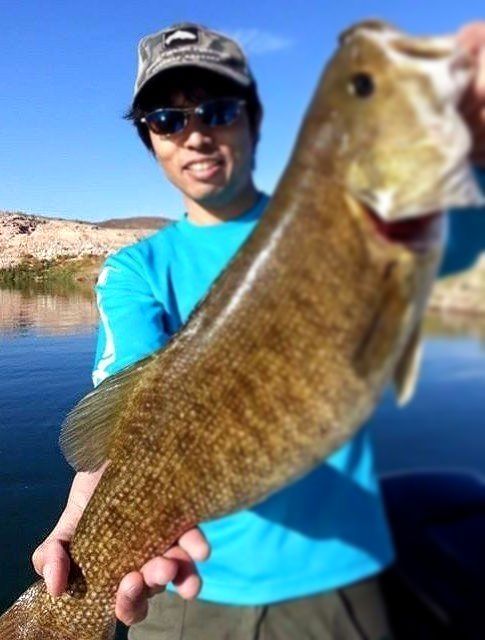 Lake Mead Fishing Guides Las Vegas Nevada