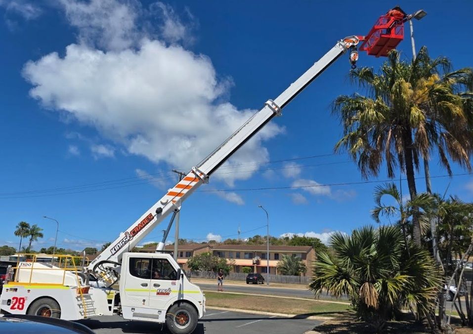 Bucket truck pruning a palm tree under a blue sky with clouds