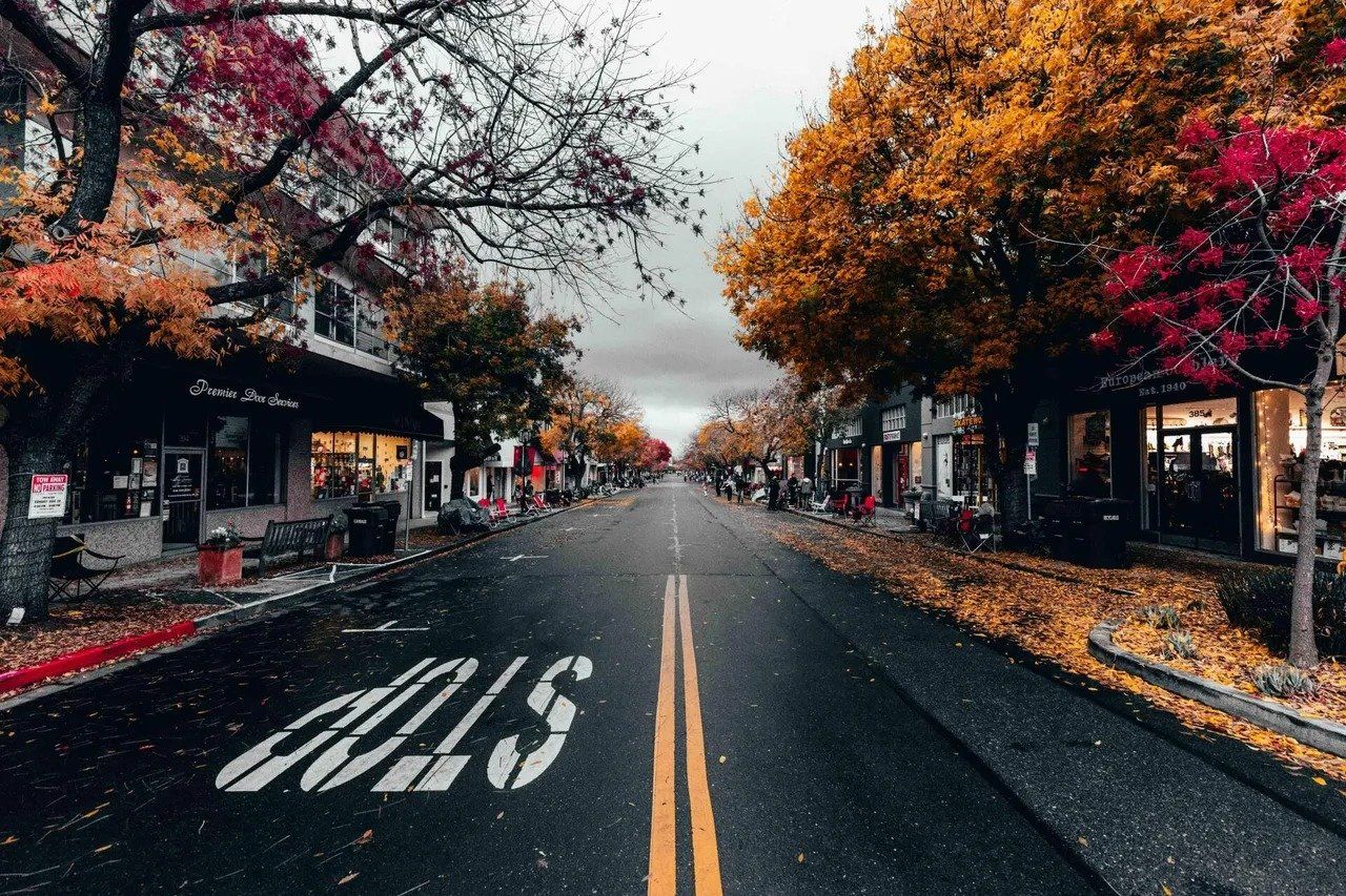 An empty street with trees on both sides and a stop sign on the side of the road.