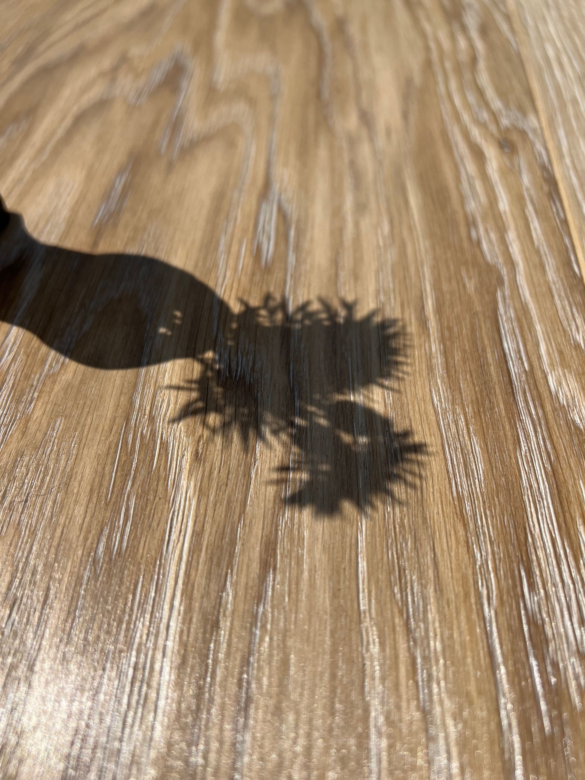 White Oak White Wax Wire Brush