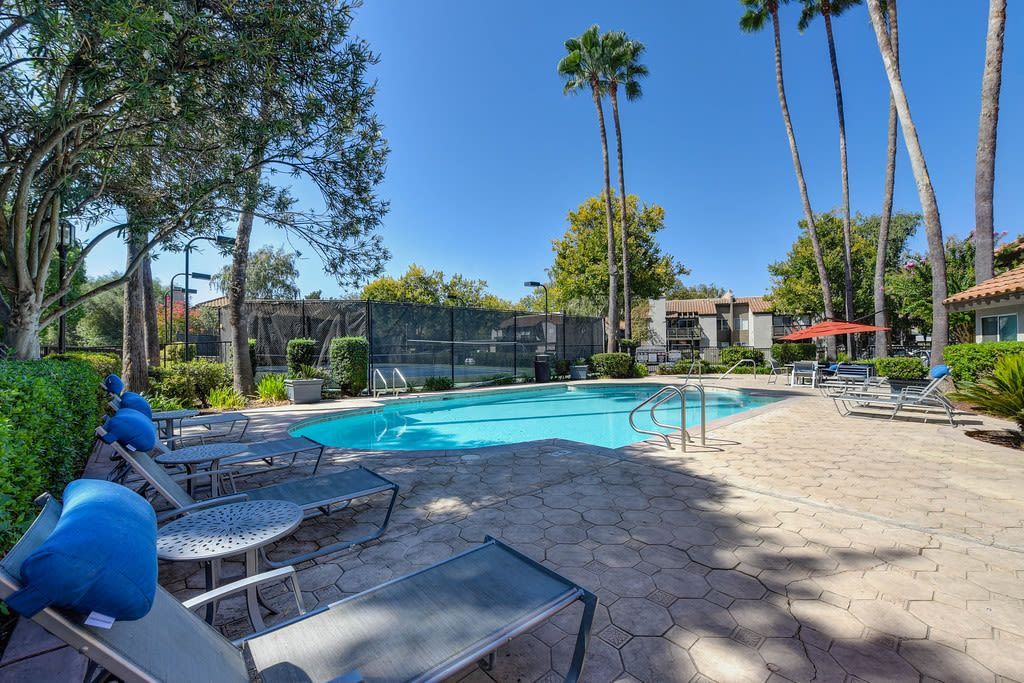 Outdoor community pool area with lounge chairs, umbrellas, and palm trees.