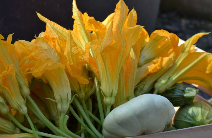 una scatola di legno piena di piante e fiori.