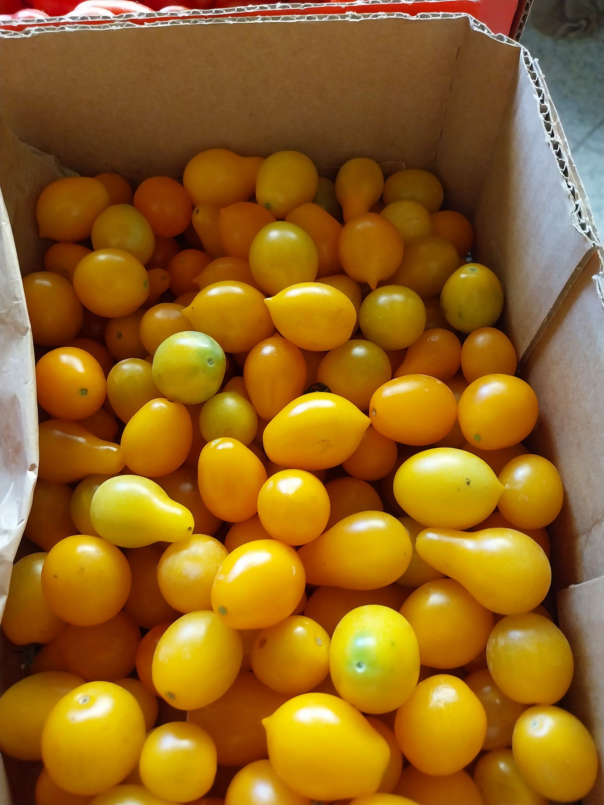 una scatola di cartone piena di pomodorini gialli