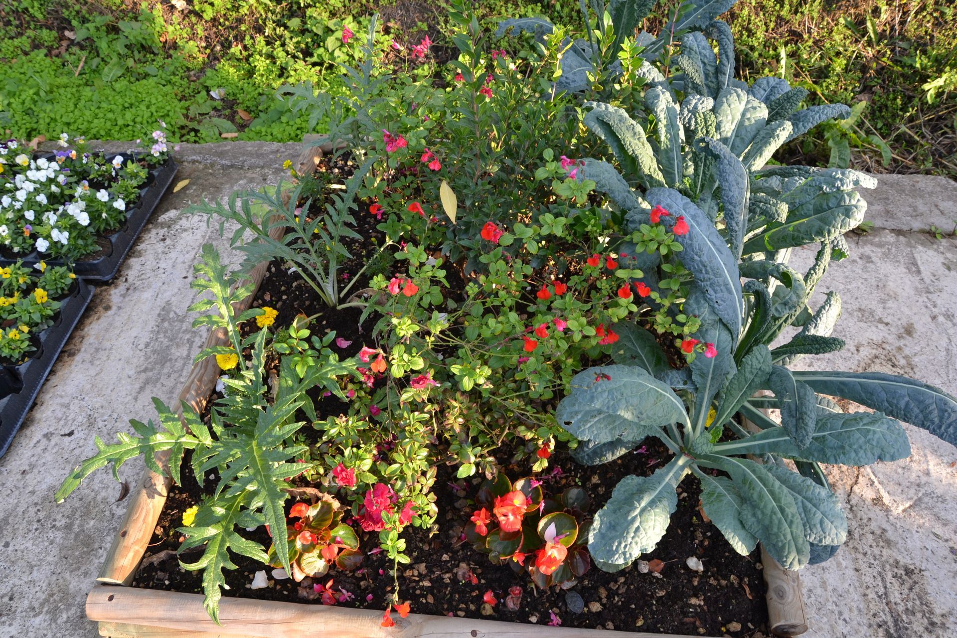 un giardino con fiori e verdure in una scatola di legno