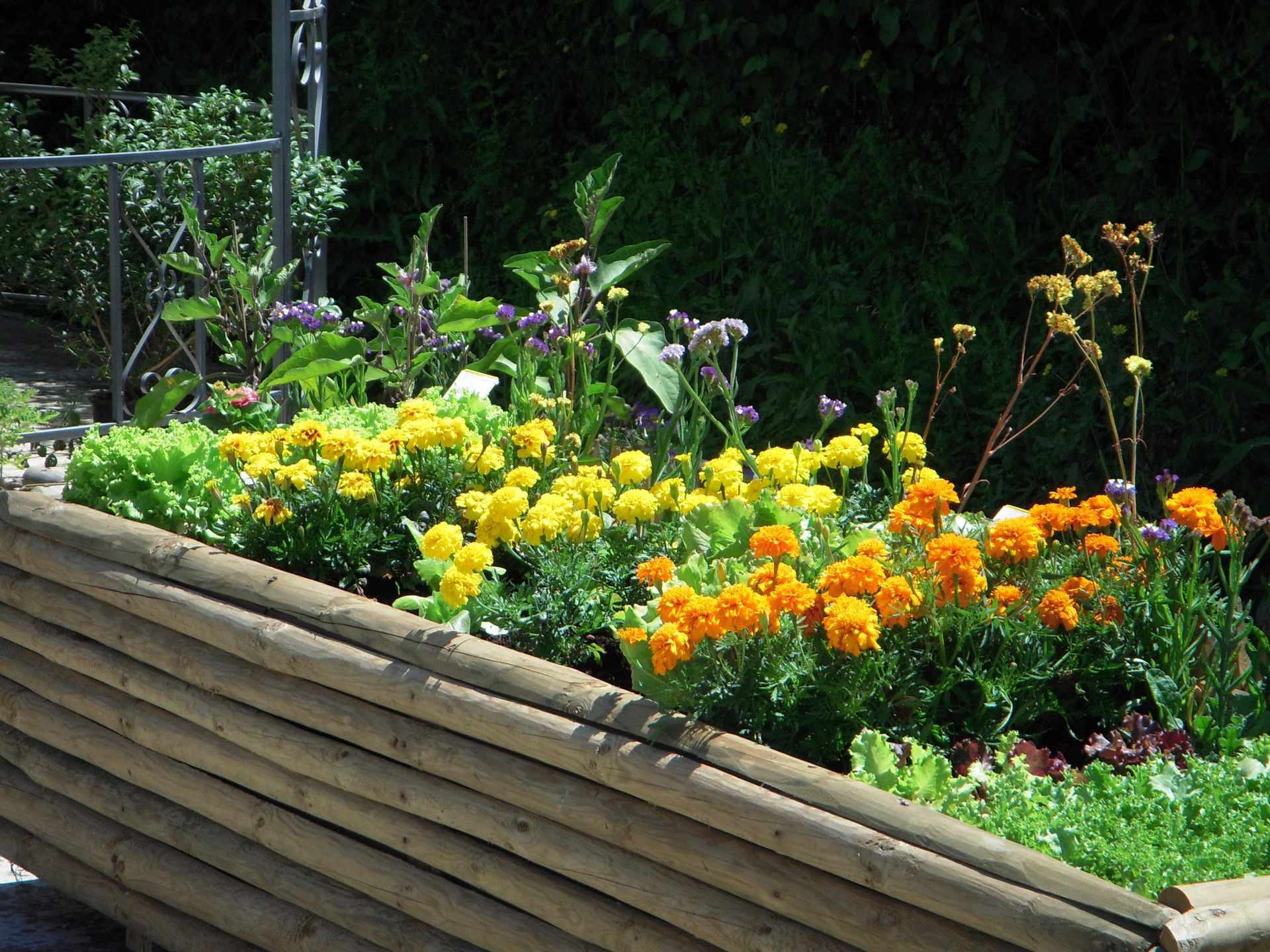una fioriera in legno piena di fiori gialli e arancioni