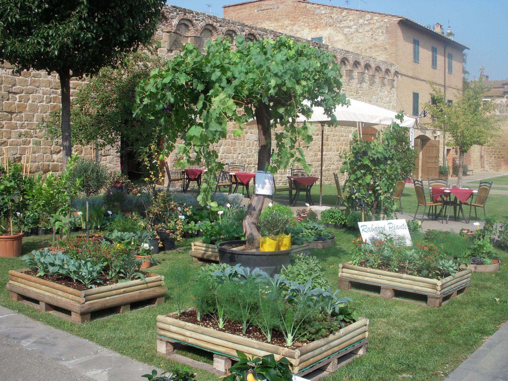 un giardino con tante piante e un albero al centro