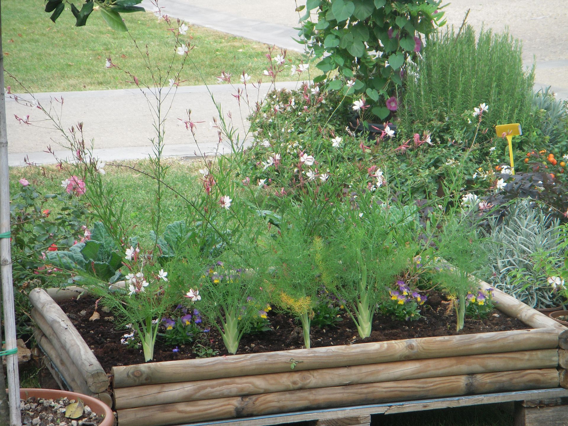 una fioriera di legno piena di tante piante e fiori