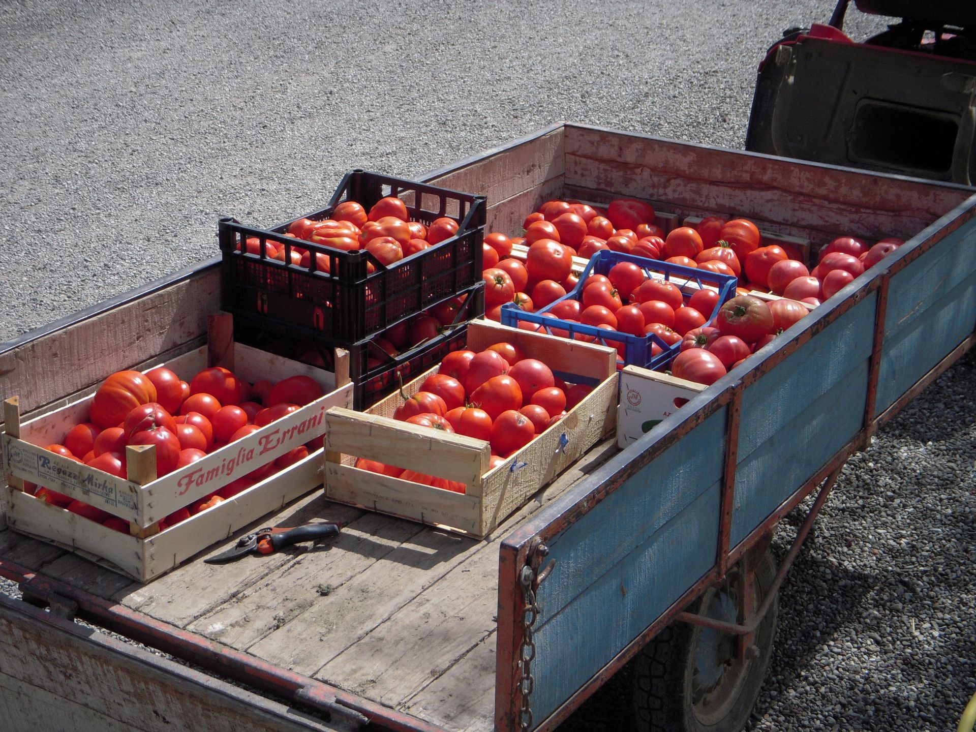 casse di pomodori in un rimorchio con su scritto "pomodori".