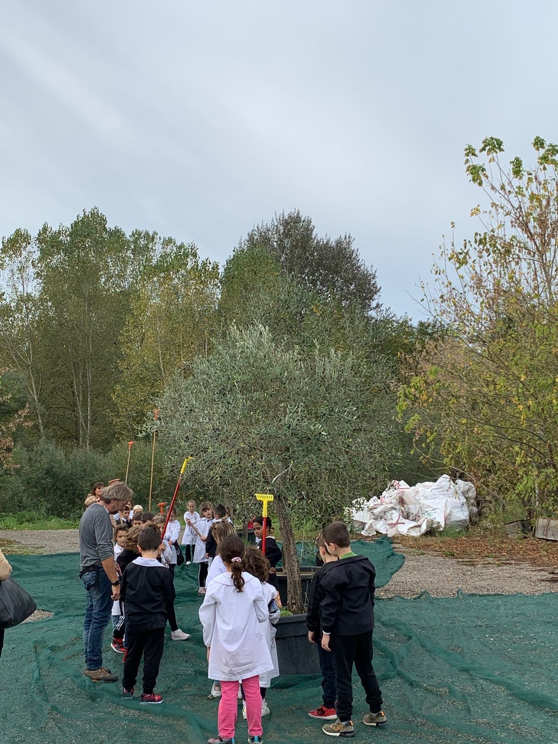 un gruppo di bambini è in piedi davanti a un albero.