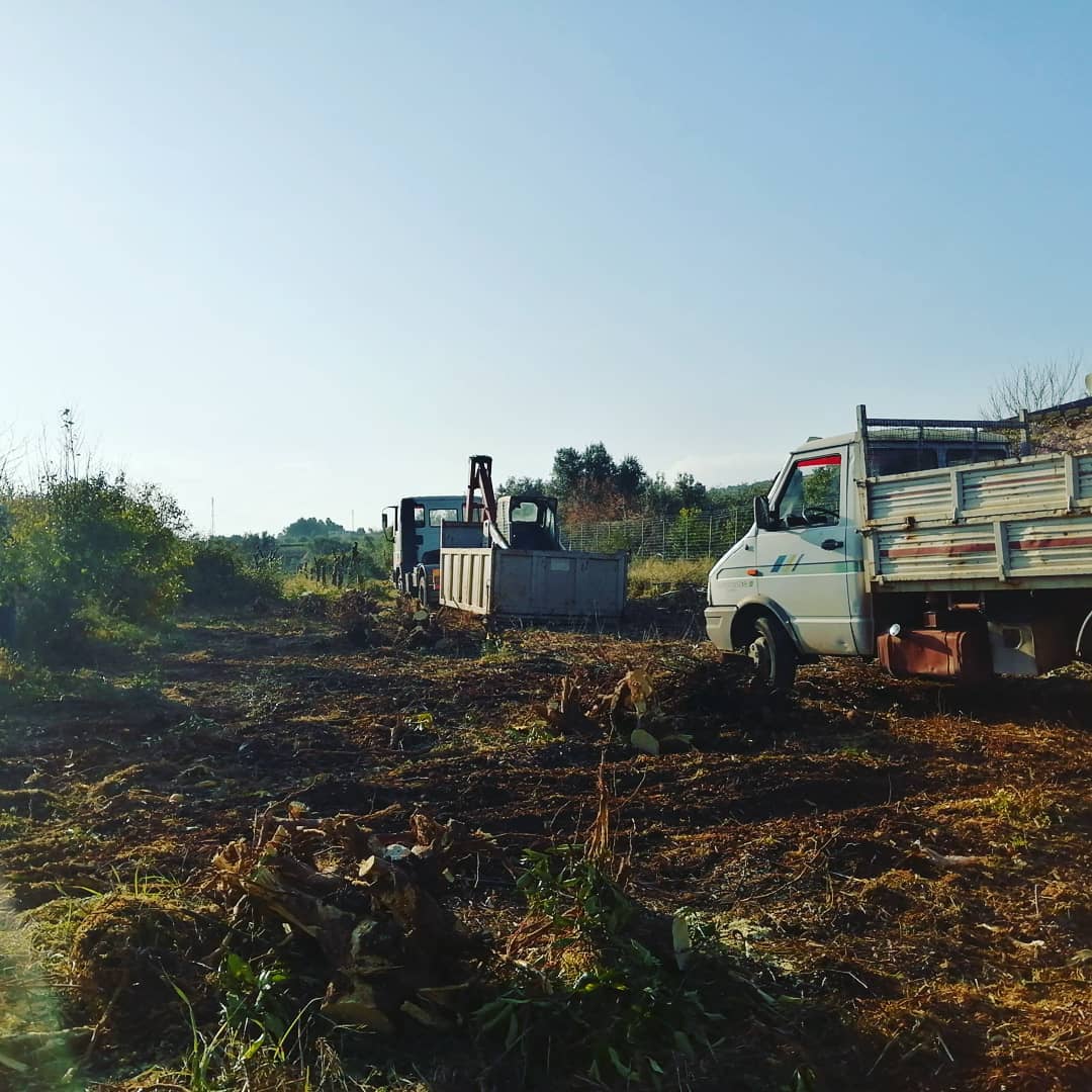 trasporto materiali di risulta