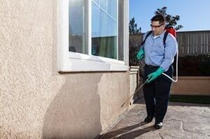 Man spraying pest control solution