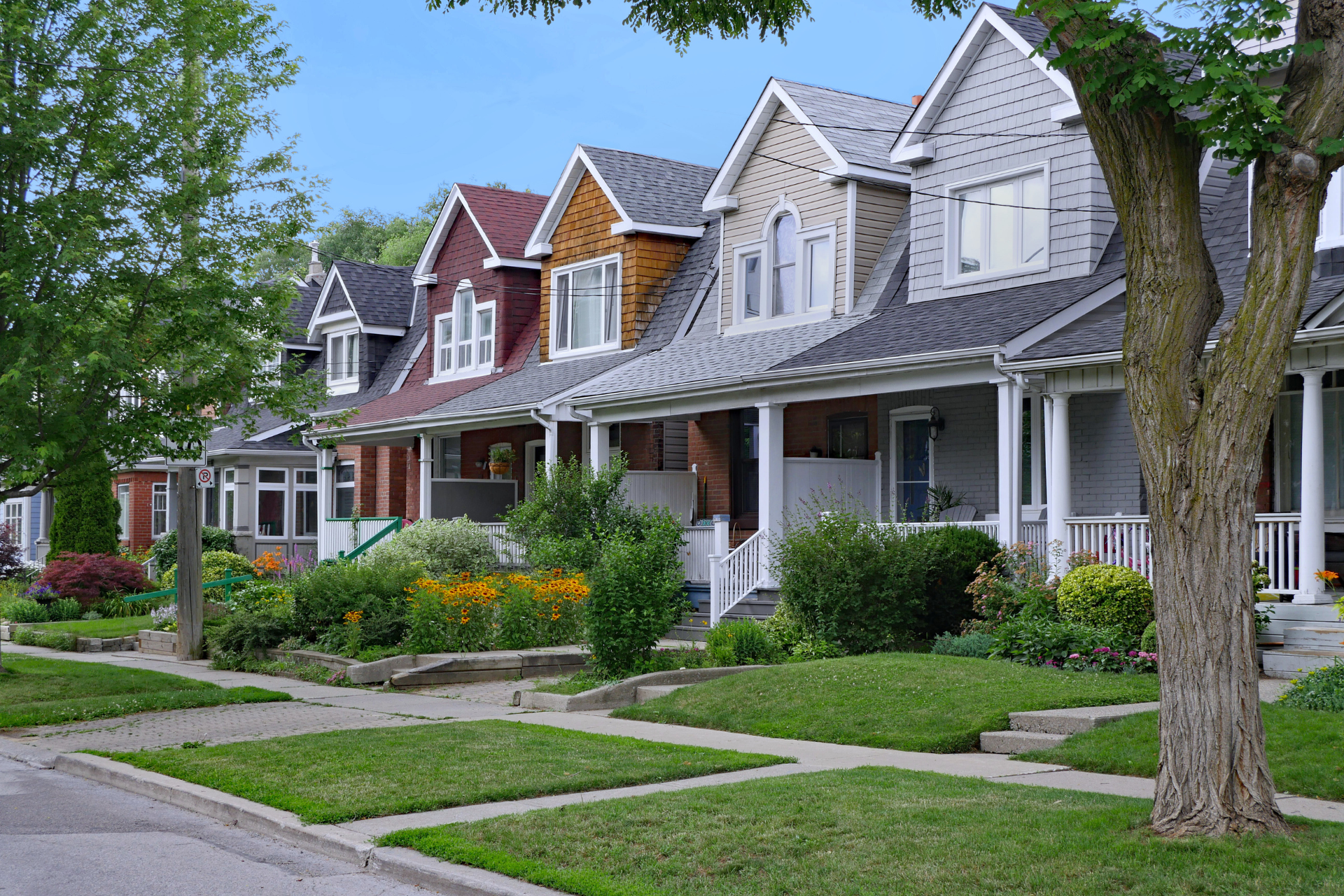 A row of houses with a tree in front of them