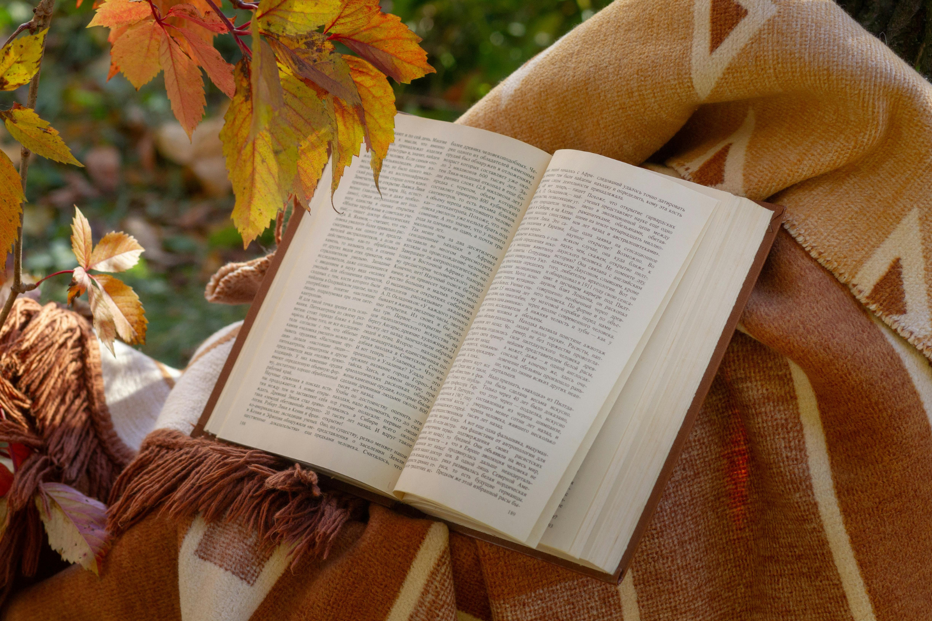 Open book on a brown blanket with fall leaves in the background.