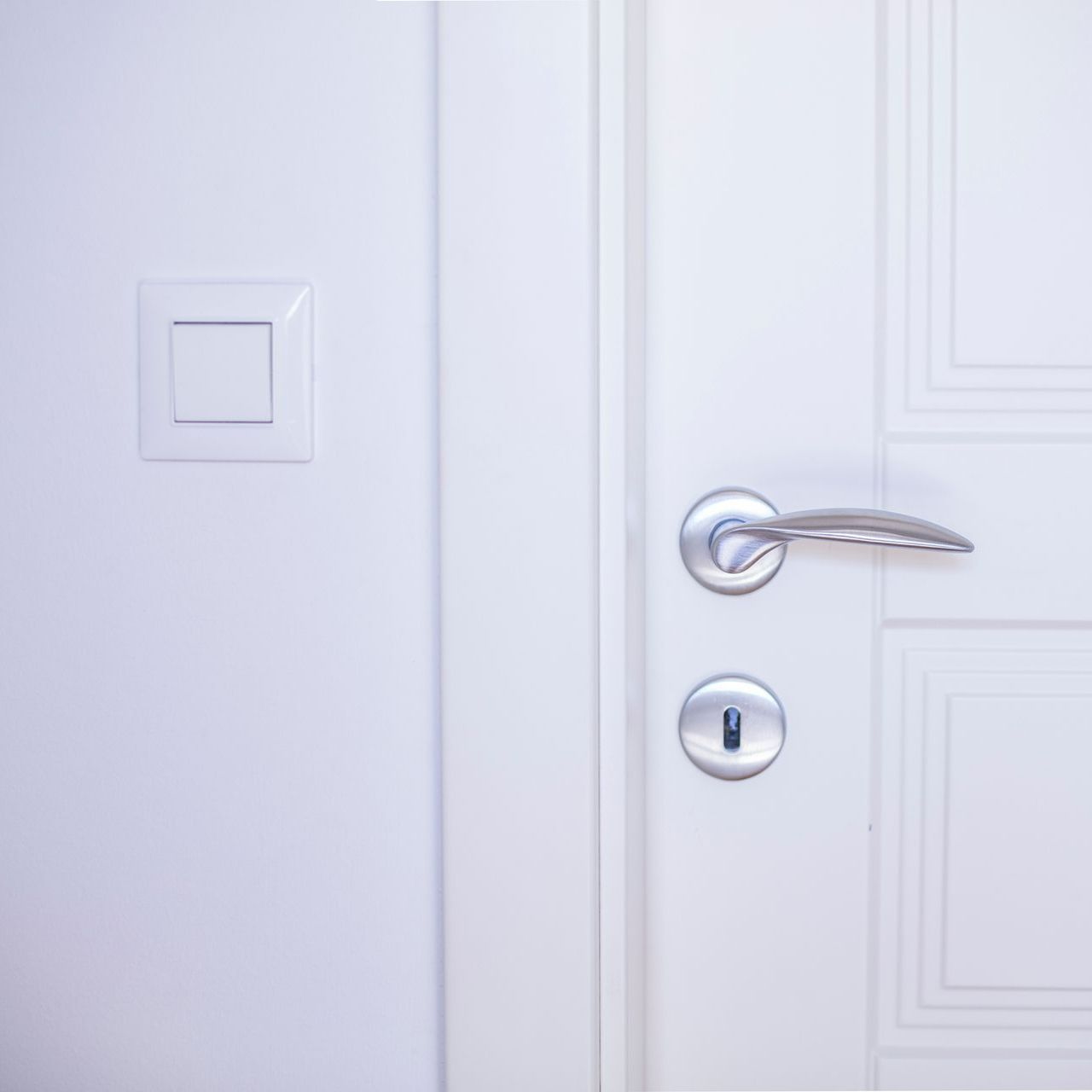 Door With A Steel Door Handle | Otsego, MN | The Window Guys