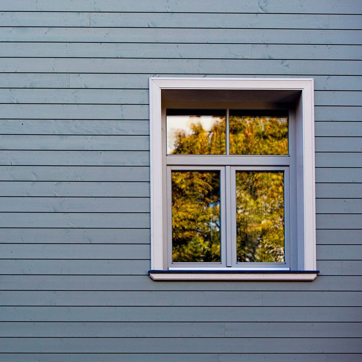 A Window With Trees Reflection | Otsego, MN | The Window Guys