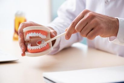 A Dentist is Brushing a Model of Teeth With a Toothbrush — Burleigh Heads Denture Clinic Gold Coast in Burleigh Heads, QLD