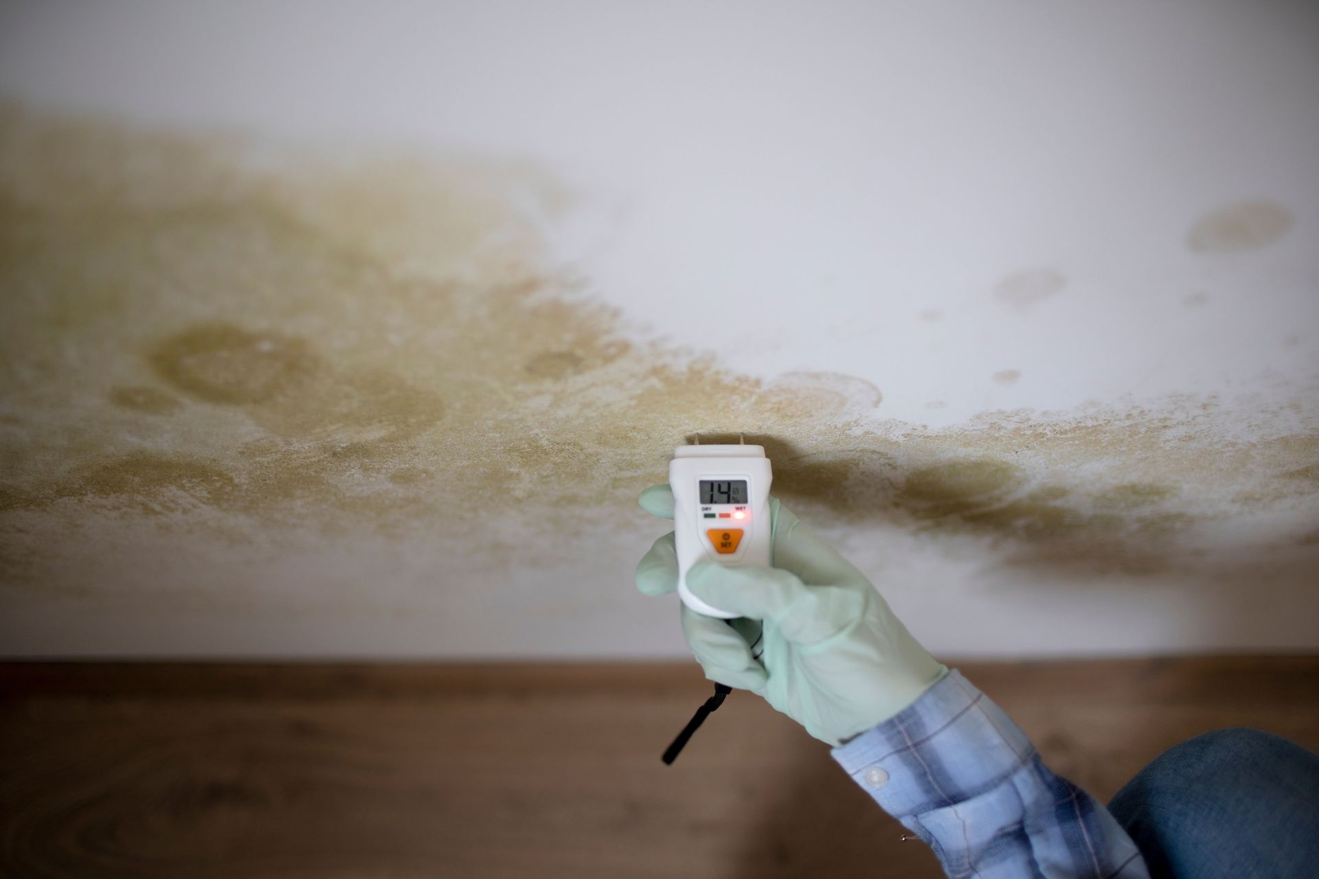 A gloved hand holds a digital moisture meter against a wall showing signs of water damage and discoloration.