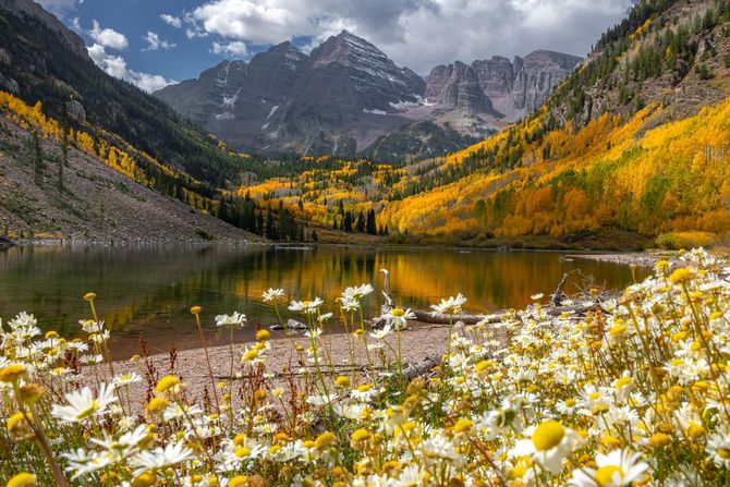 A lake surrounded by mountains and flowers with a mountain in the background.