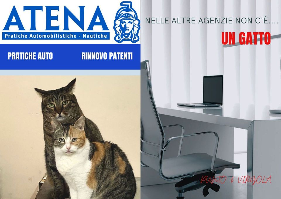 pratiche auto Atena