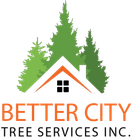 Tree Services in Martinez, CA | Better City Tree Services, Inc.