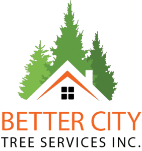 Tree Services in Martinez, CA | Better City Tree Services, Inc.