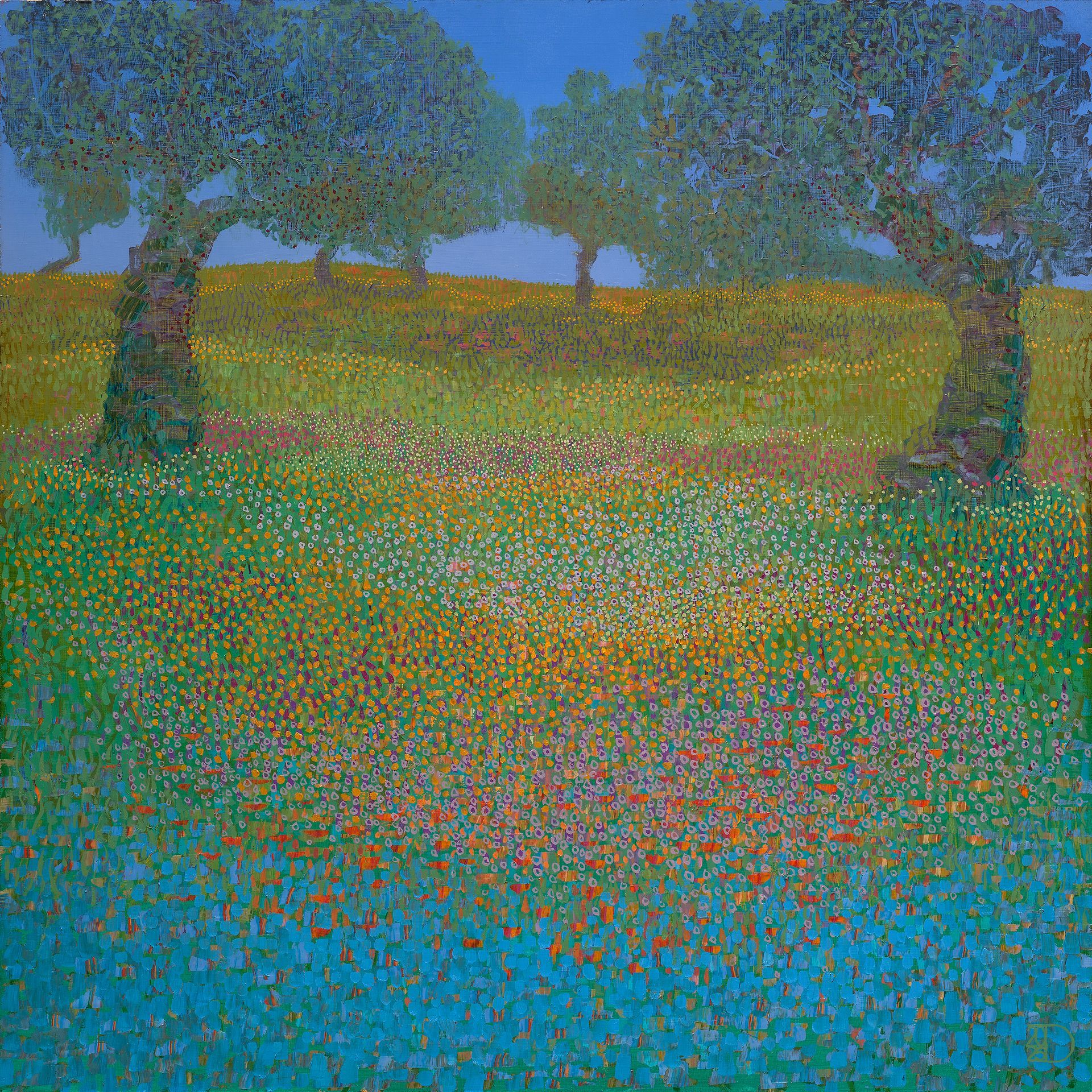 Old Orchard Blooming