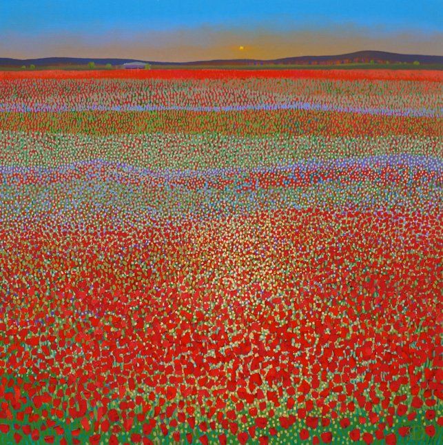 Poppy Field Sunset