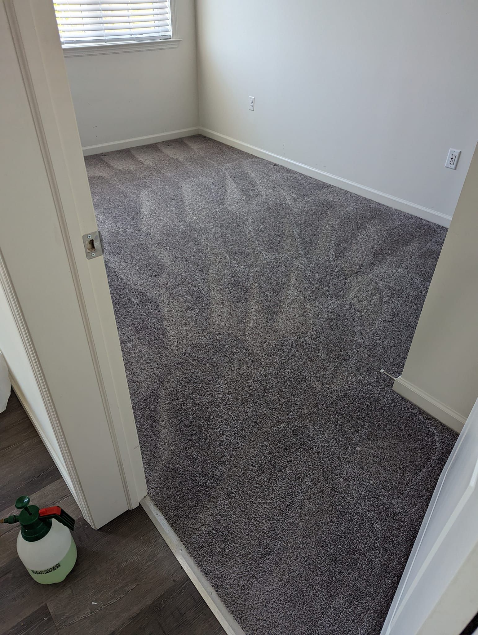 A room with a carpeted floor and a spray bottle on the floor.