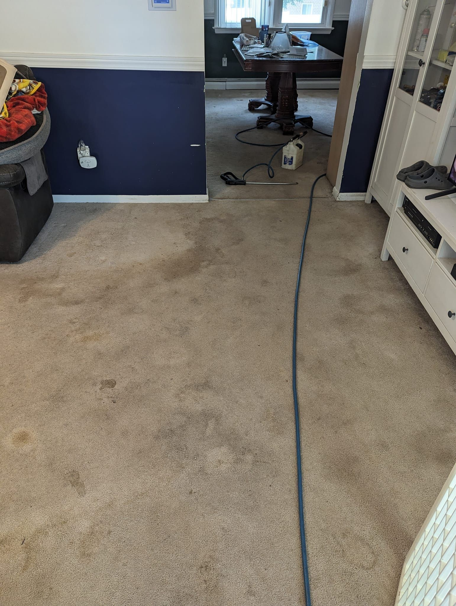 A living room with a dirty carpet and a vacuum cleaner.