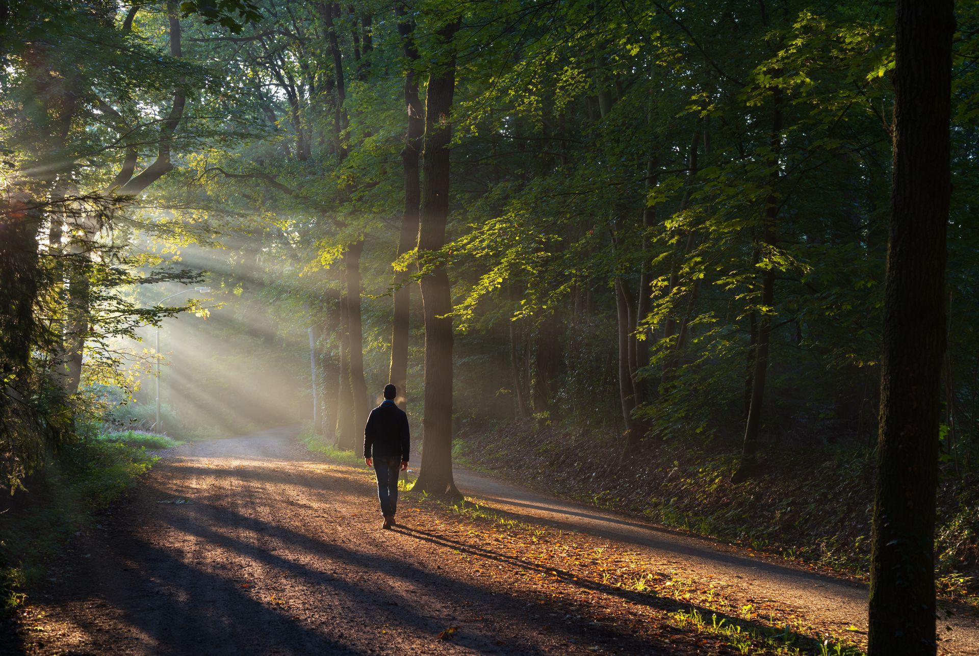 where-to-scatter-ashes-richard-stebbings-funeral-director