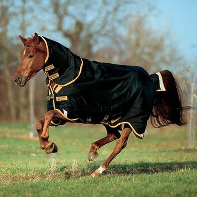 Horse Tack Sponge – SlypnerGear.com Online Store