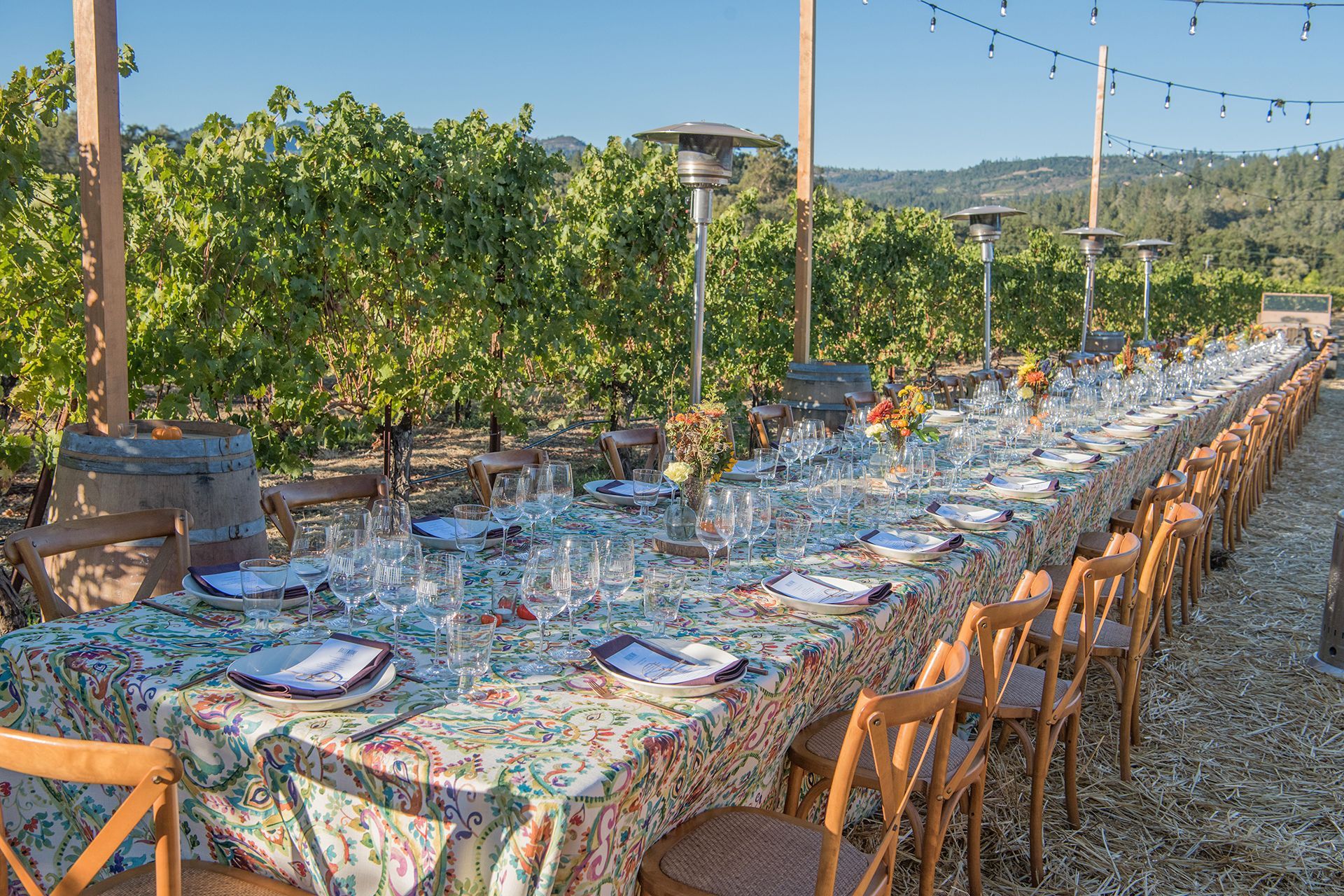 Wine Dinner in the Vineyards