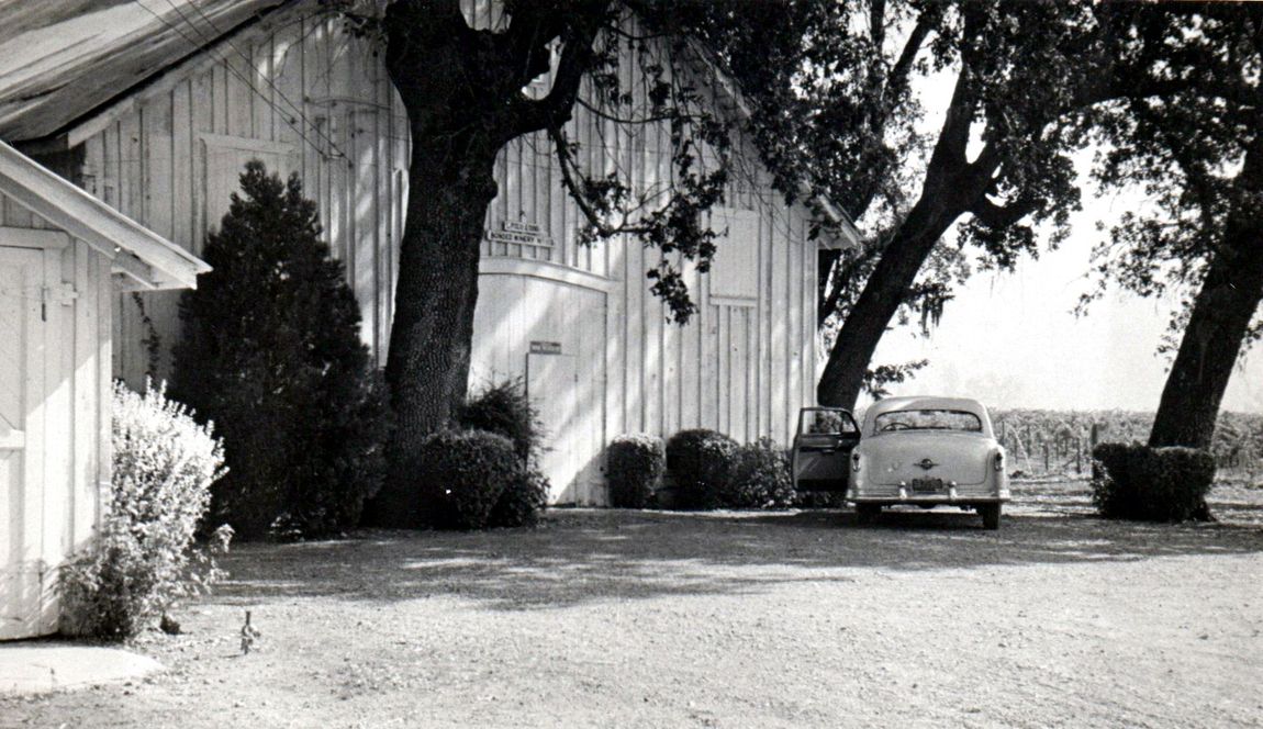 L. Pocai and Sons Winery, 1955 
