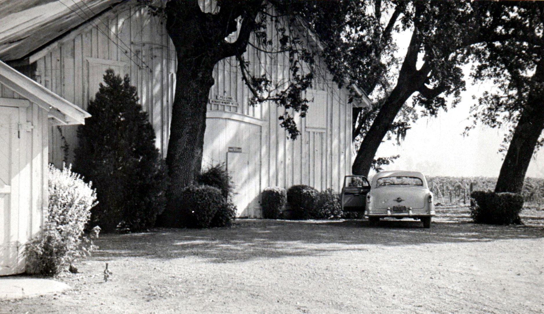 L. Pocai and Sons Winery, 1955
