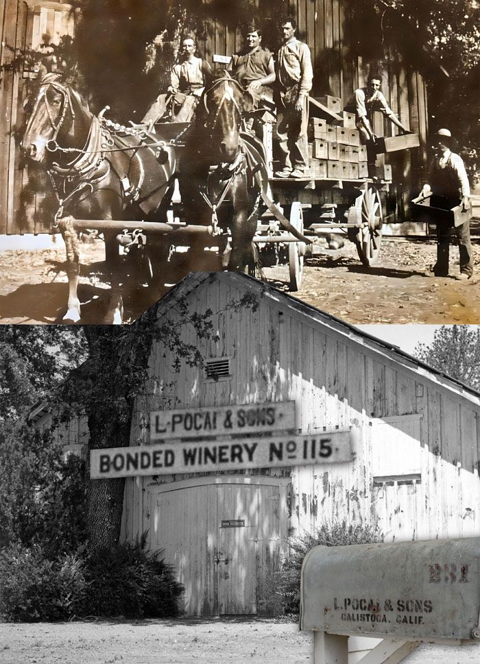 Libero, Frank and Henry Pocai