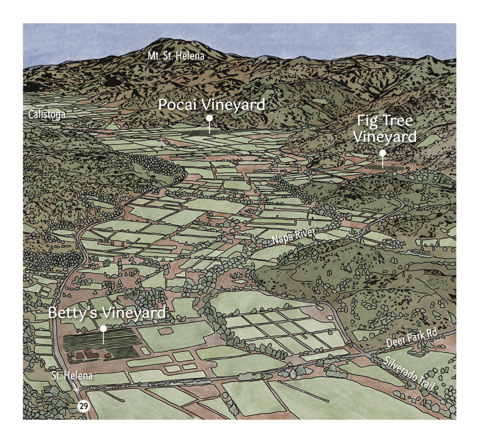 Ballentine Estate Vineyards Map, Napa Valley
