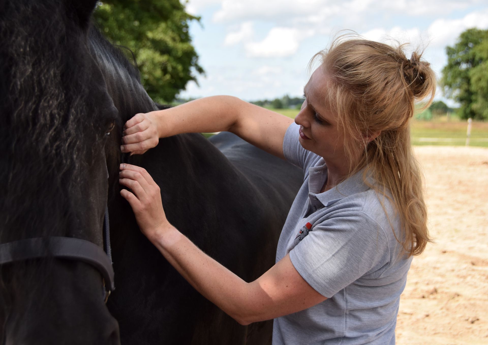 Sportmassage paard en pony