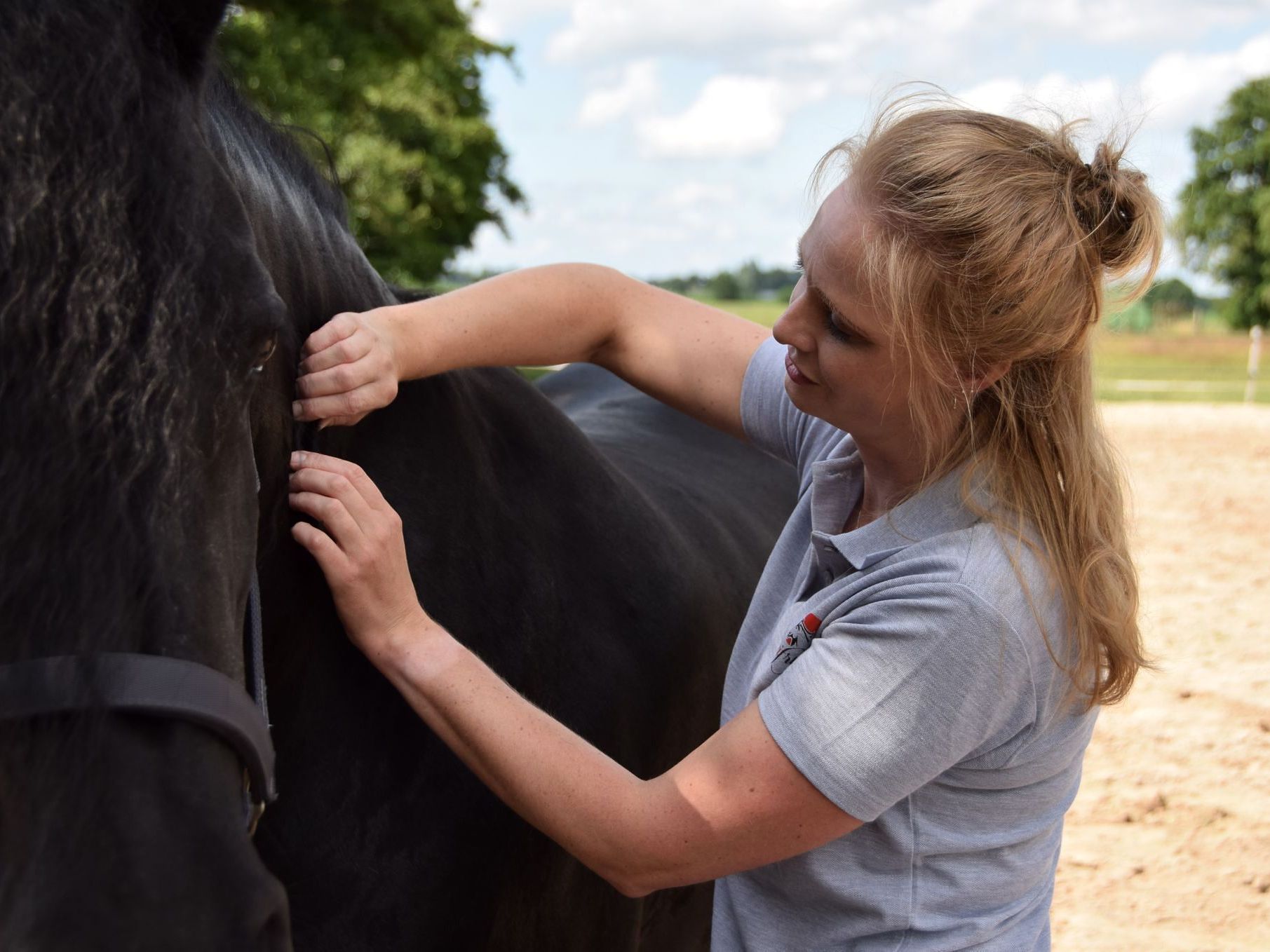 Sportmassage paard en pony