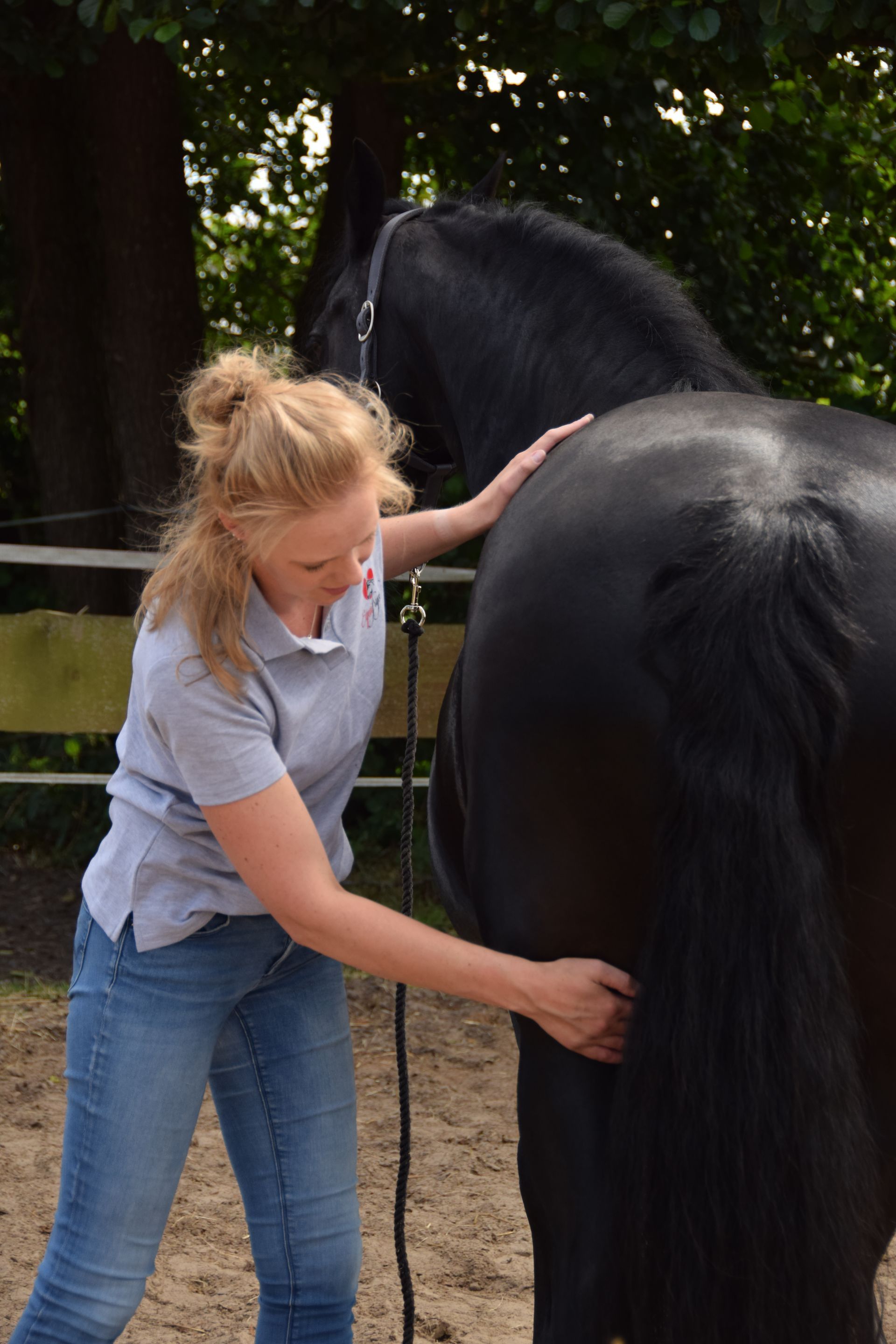 Sportmassage paard en pony