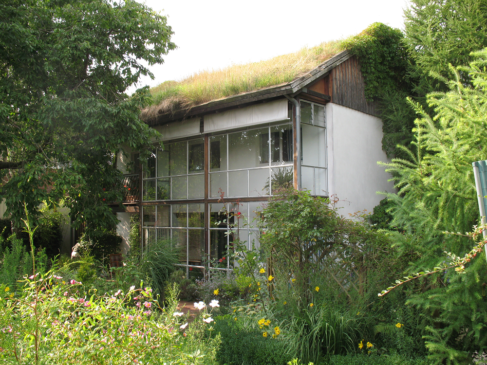 Haus mit Gründach, umgeben von üppigem Grün, mit großen Fenstern und naturnaher Lage.