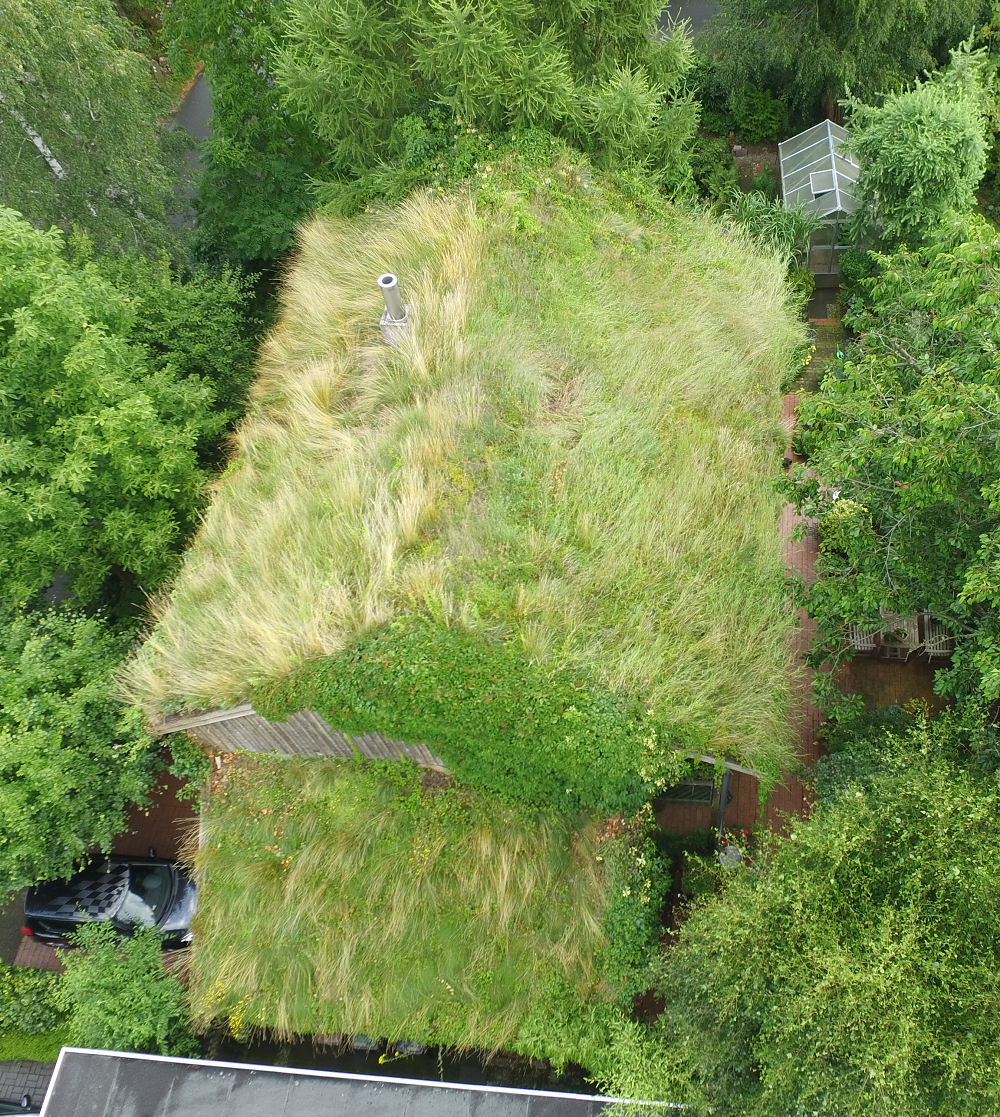 Draufsicht auf ein Haus mit Gründach, umgeben von Bäumen.