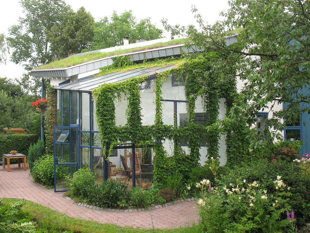 Ein Gebäude mit Gründach, Weinreben und einer Glasumrandung in einer Gartenanlage.