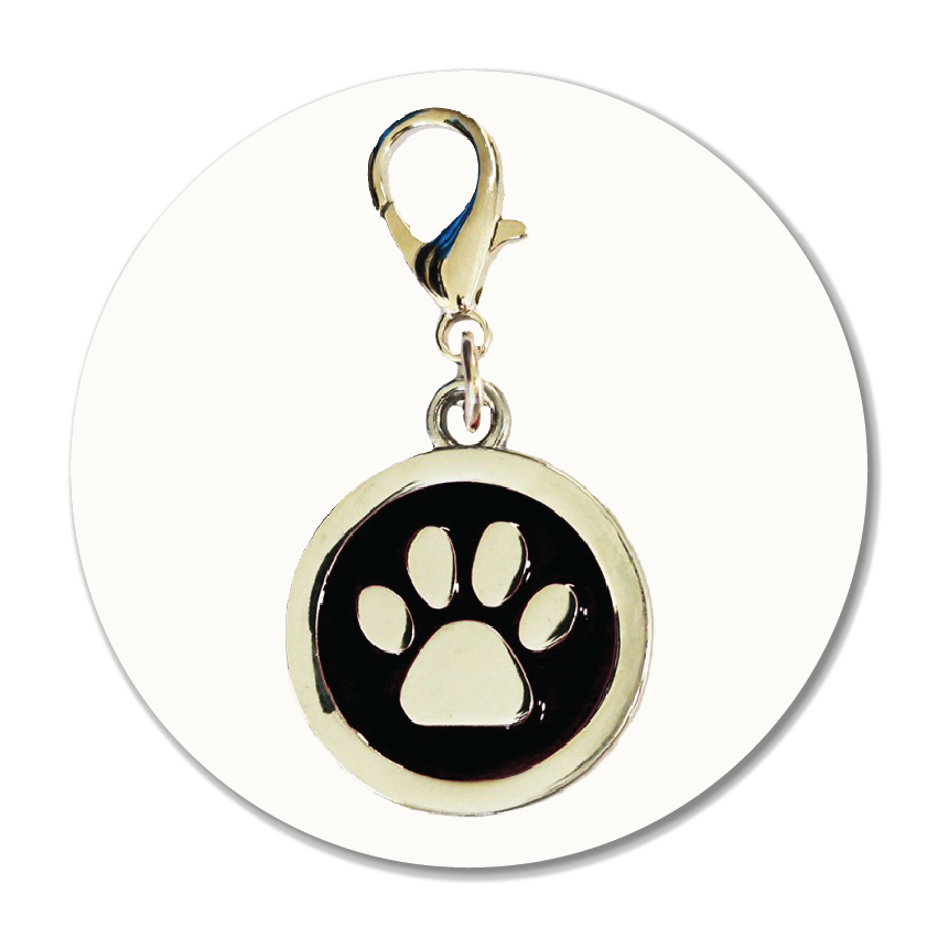 Studio-style illustrative image showing a brown leather watch strap with new spring bars and a fitting tool on a cream background — representing Sole to Sole’s professional watch strap pin replacement and secure refitting service.