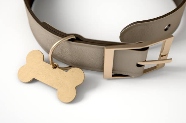 Pet Collar - Sole to Sole - Edgeley - Stockport