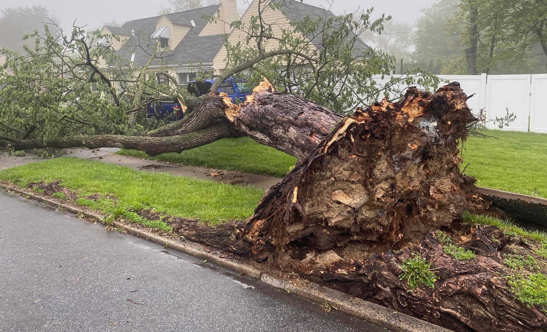 A large tree stump is laying on the side of the road.