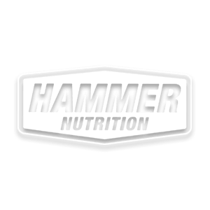 hammer logo