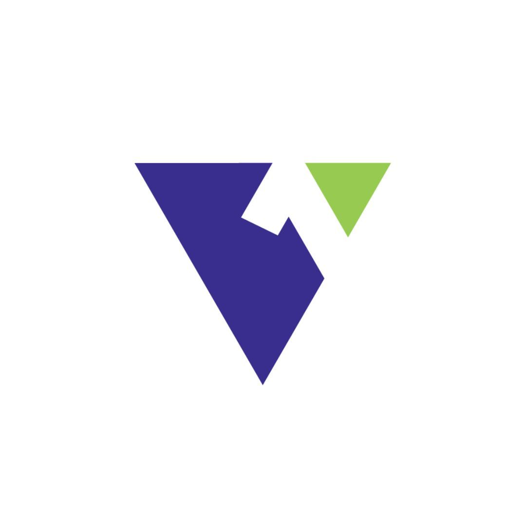 1Vision Logo Icon